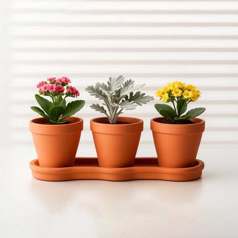 Desktop Mini Garden Planter Set with Tray