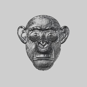 Monkey Animal Metal Head