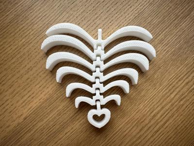 Flexi skeleton heart