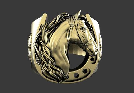 Horse ring