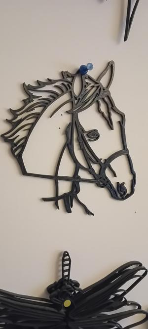 Horse Head Frame Silhouette