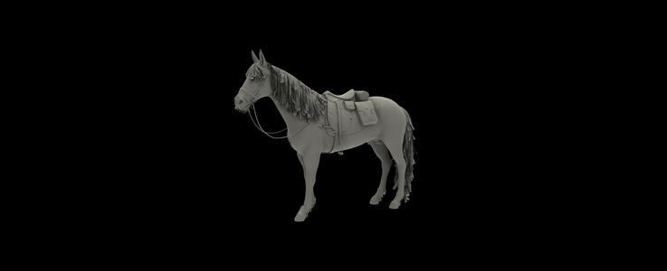 Horse