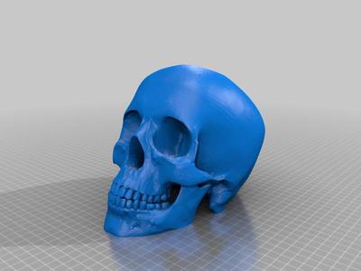 Skull Candle Holder
