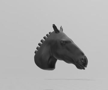 HORSE HEAD