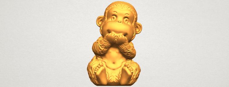 Monkey A04