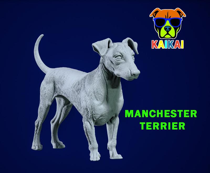 Manchester terrier Dog model - 3D print