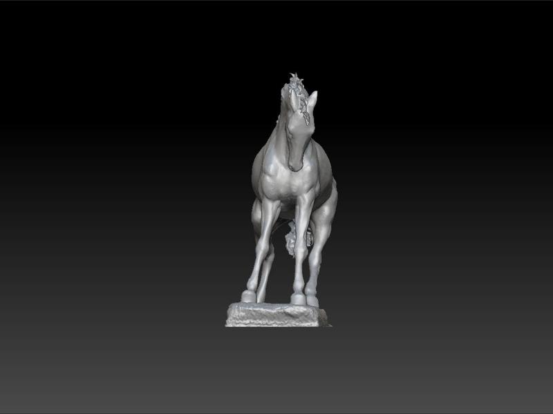 Horse - decorative horse - beautiful horse