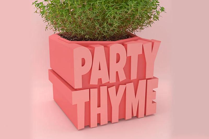 Plant puns - Party Thyme   