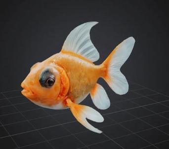 Goldfish   