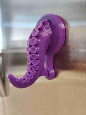 Magnetic Tentacle Hook