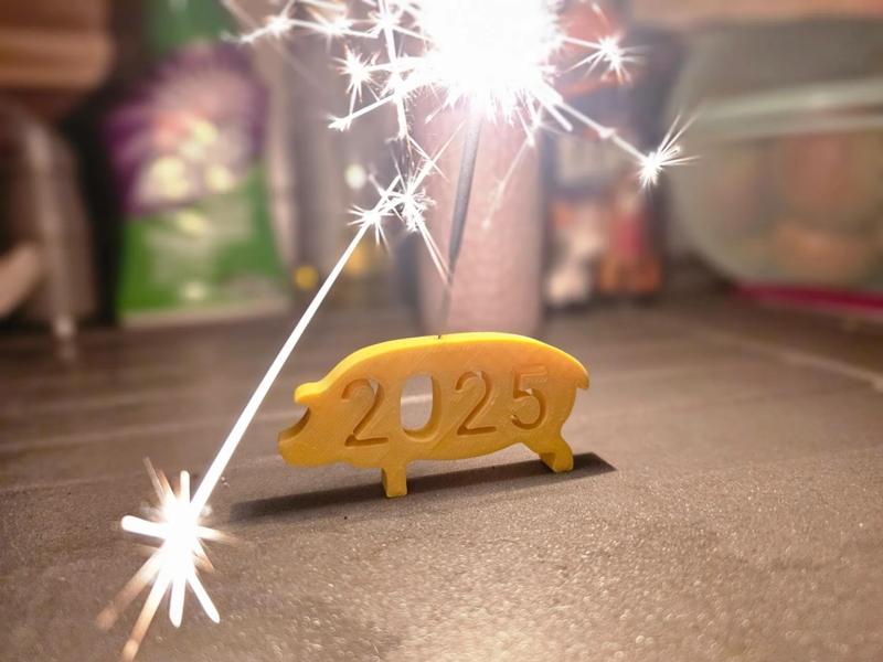 2025 New years eve pig
