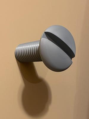 Giant Screw Wall Hanger
