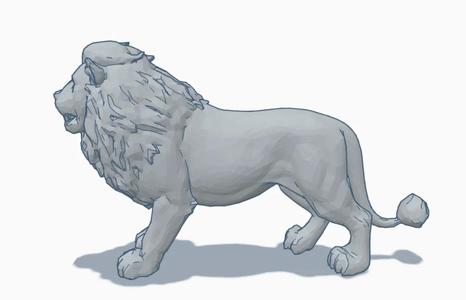 Lion   