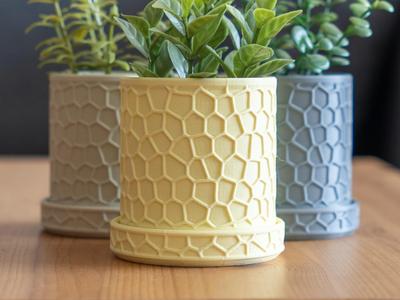 Honeycomb Planter