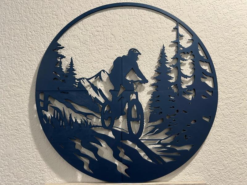 Mountain Bike Art