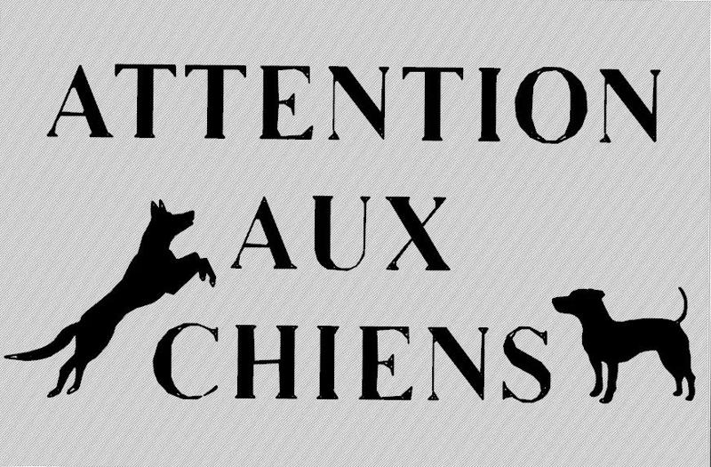 attention aux chiens   