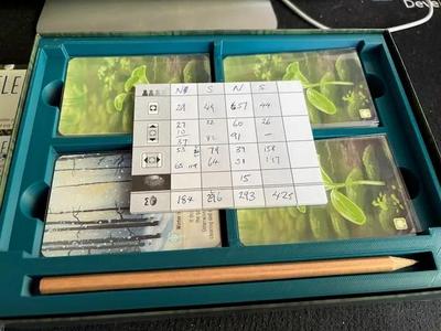 Forest Shuffle Box Insert   