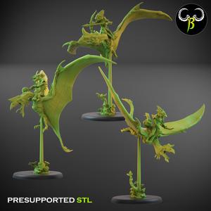 Heliodon rider Set B