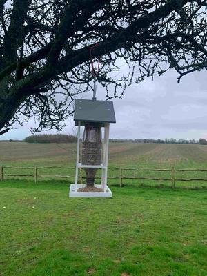 500ml Bird Feeder