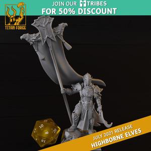 Highborn Elves Exalted Leader