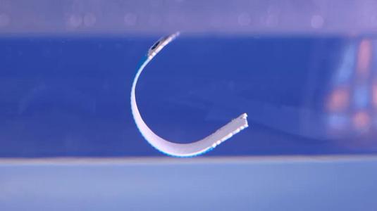 Standard Hinge Thermorph   