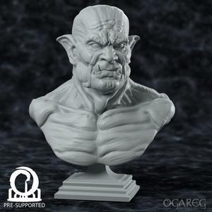 Xughar, Beware the old orc in a profession where orcs usually die young