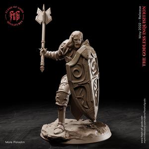 Male Human Paladin