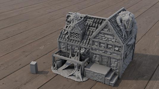 Infested Medieval House