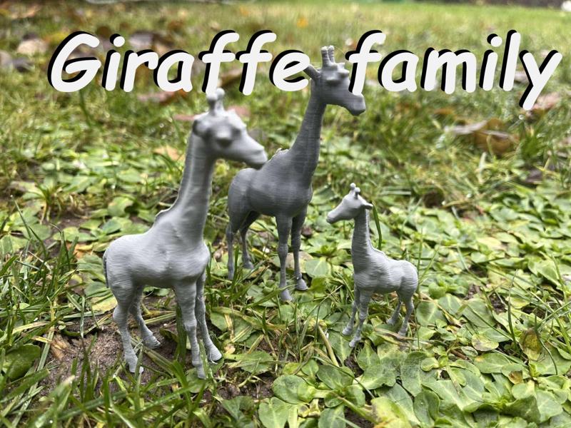 Giraffe family in the Zoo