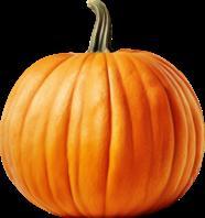 Little Pumpkin Decoration