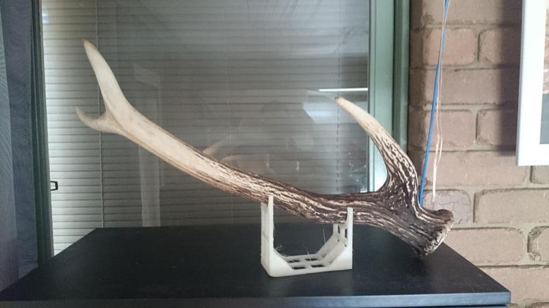 Deer Antler display stand