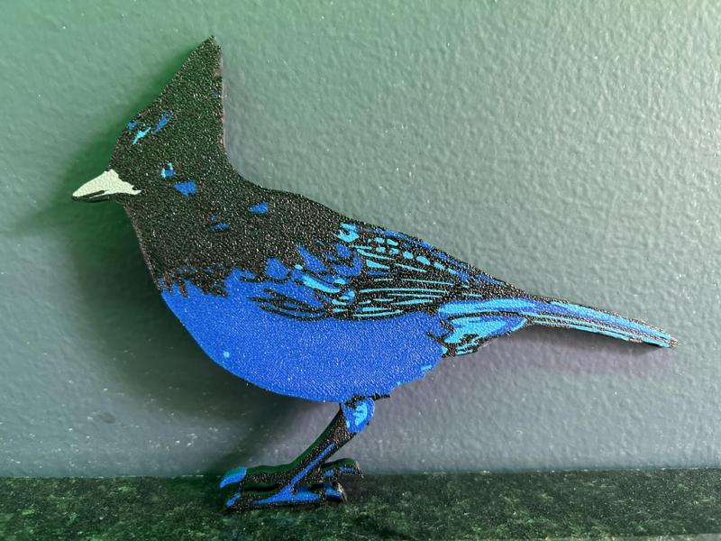 Stellar's jay wall art