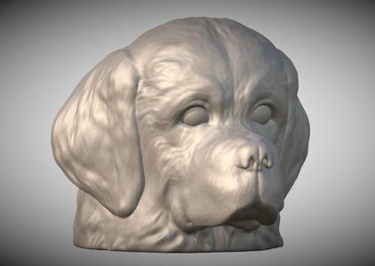 Puppy of Saint Bernard dog head for 3D printing