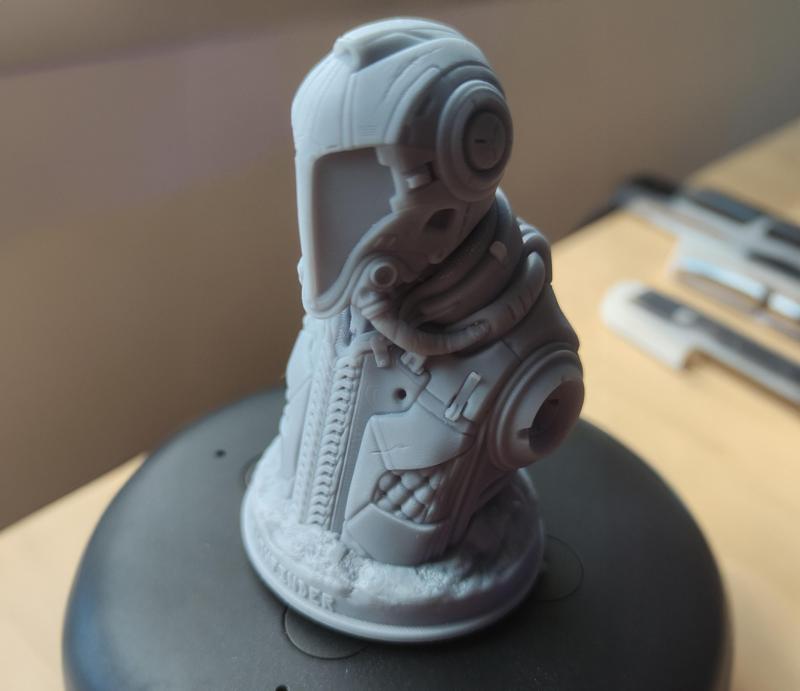 Pathfinder Suit Bust