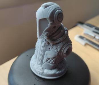 Pathfinder Suit Bust
