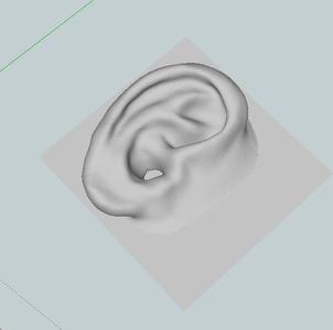 Human Ear