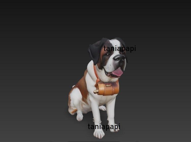 San bernard dog