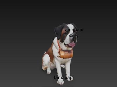 San bernard dog