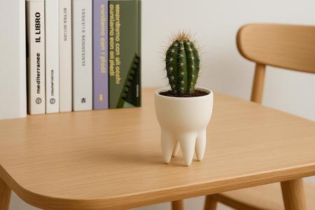 Tooth-Shaped Planter – Pot for Succulents - Decor