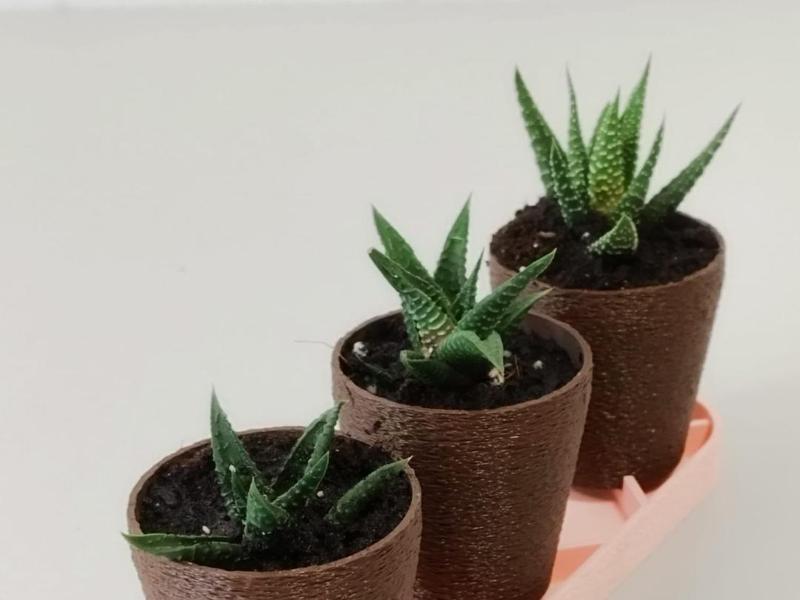 3-Piece Mini Planter Set with Base, Trowel, and Watering Can