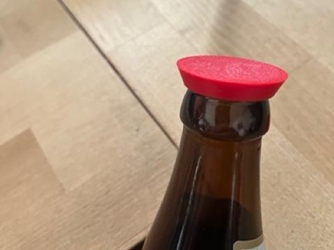 Beer Protection against flying Animals