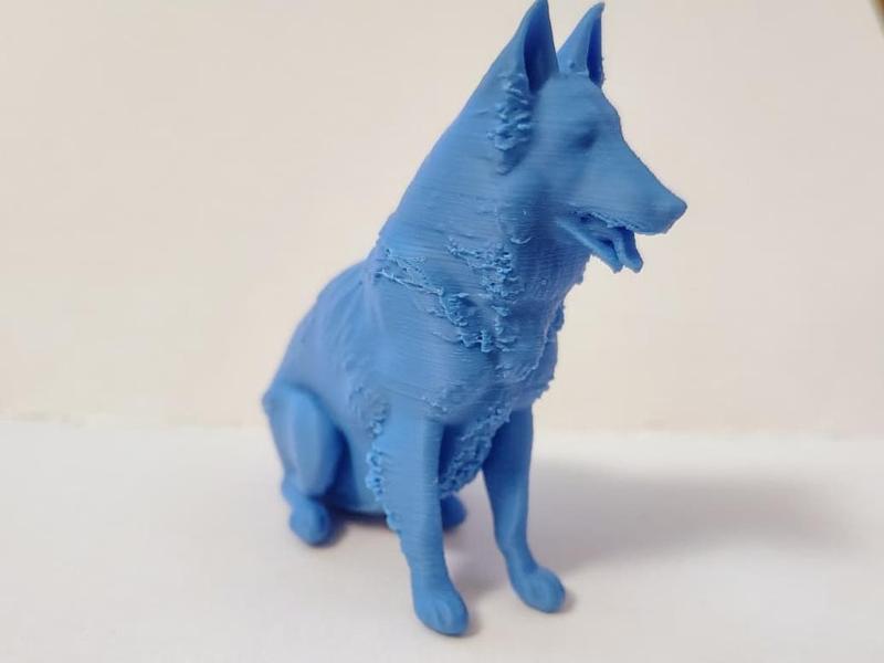 Belgian Shepherd - Tervuren