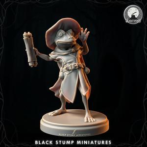 Wubwub Wizard Hero + Bases + Original Race 5E + Shadowdark .PDF!