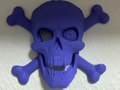 Stylish Skull with Crossbones