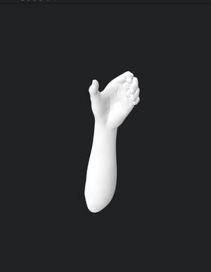 HANDSHAKE HAND GESTURE WITH ARM