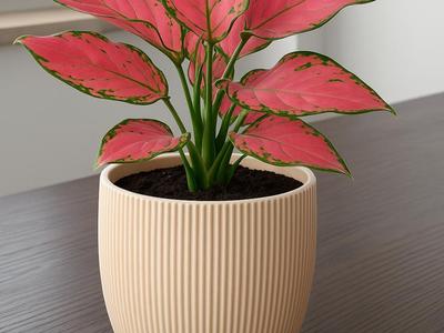 Elegant Vase 12 cm