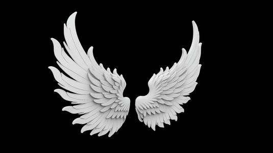 Phoenix Flame Wings 3d Print Model