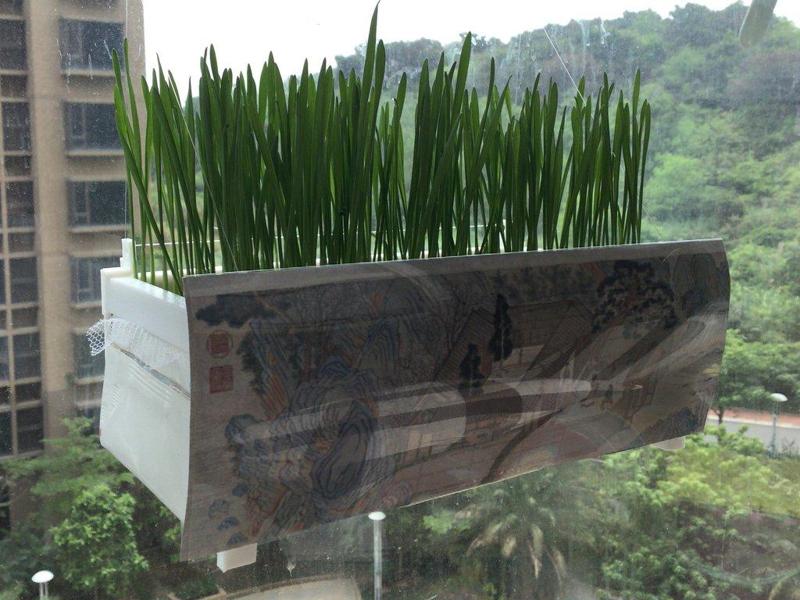 milk box farm