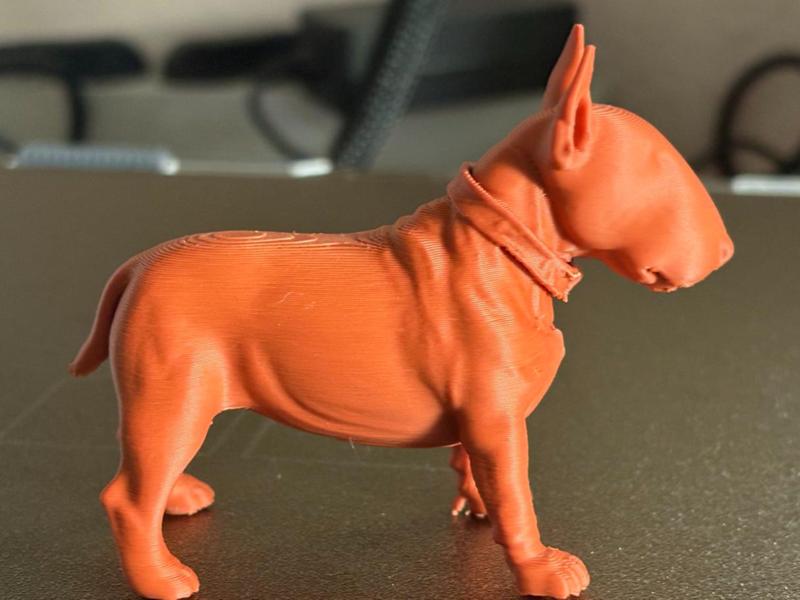 Miniatur Bullterrier 