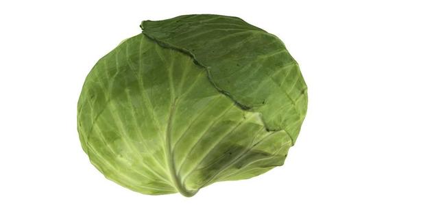 The Cabbage